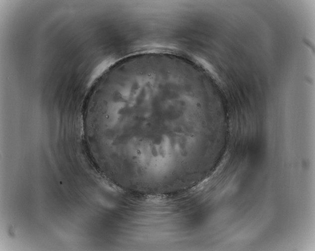 X0000099321267200805021306
