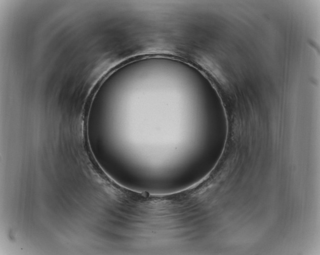 X0000099321268200805021306