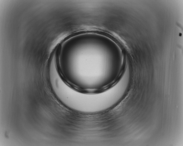X0000099321269200805021306