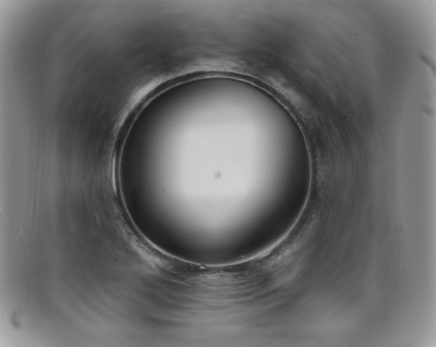 X0000099321272200805021306
