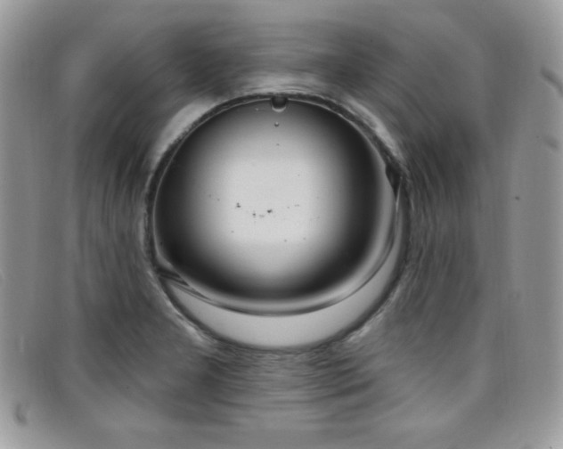 X0000099321277200805021306