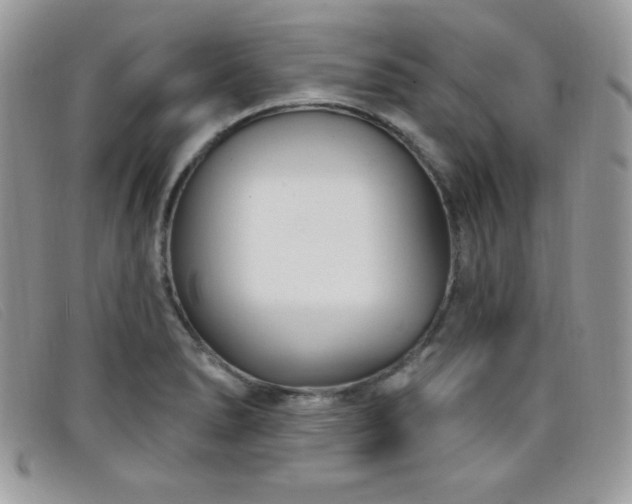 X0000099321278200805021306