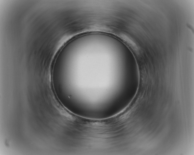 X0000099321280200805021305