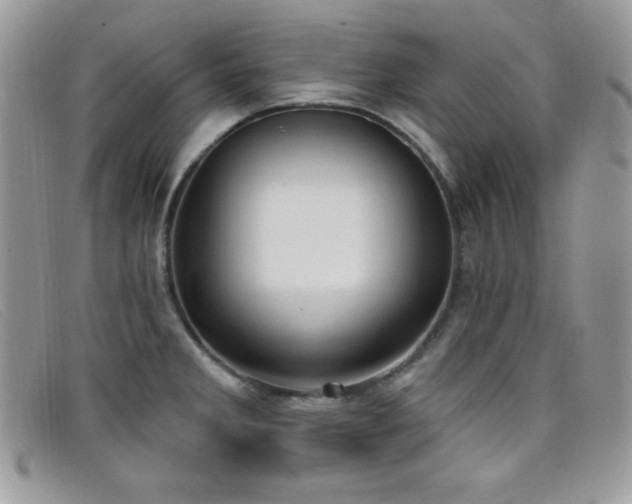 X0000099321285200805021305
