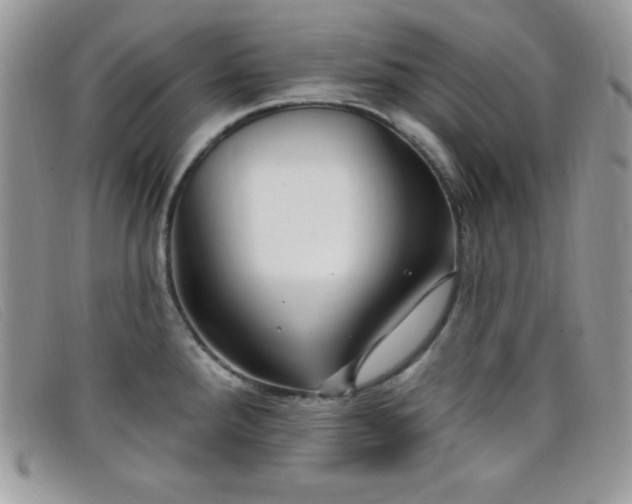 X0000099321288200805021305