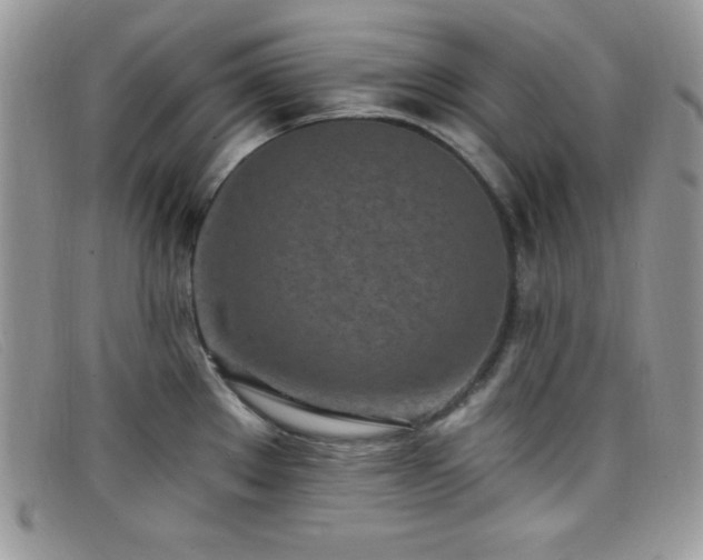 X0000099321289200805021305