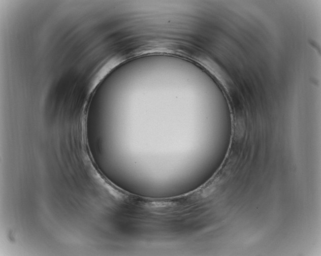 X0000099321290200805021305