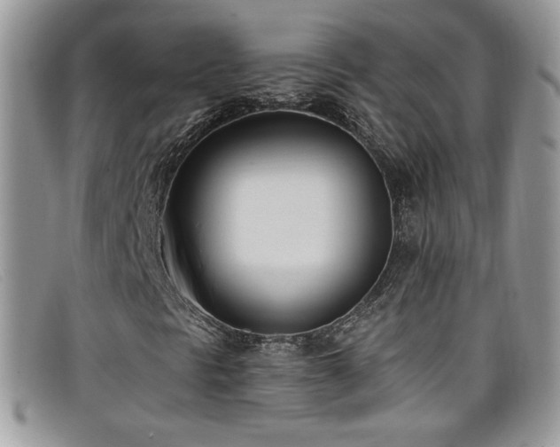 X0000099321297200805021305
