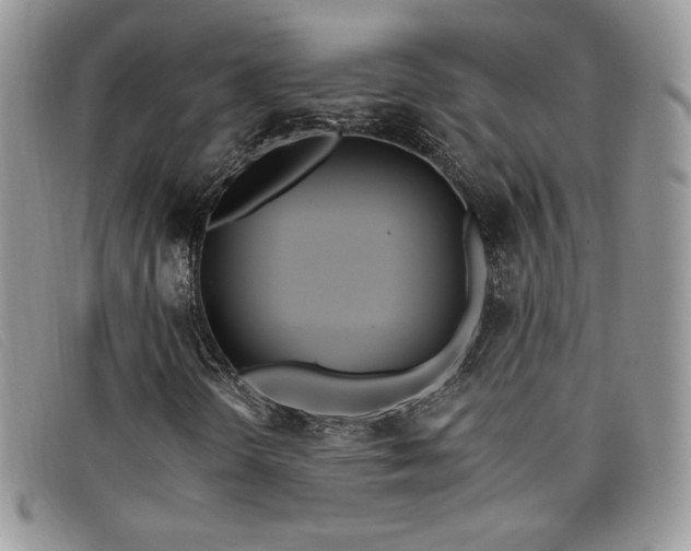 X0000099321298200805021305