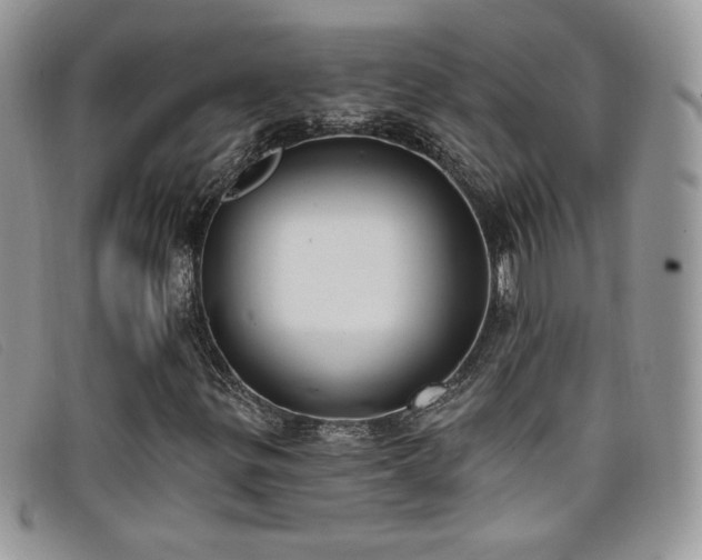 X0000099321299200805021305