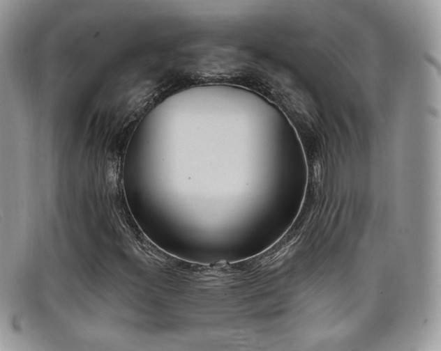 X0000099321300200805021305