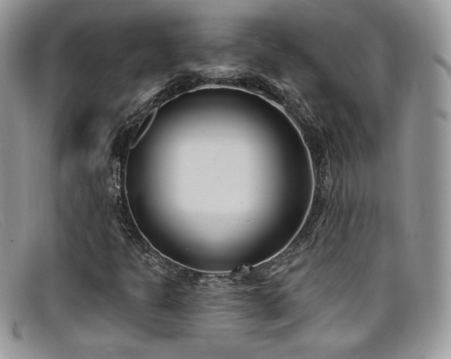 X0000099321301200805021305