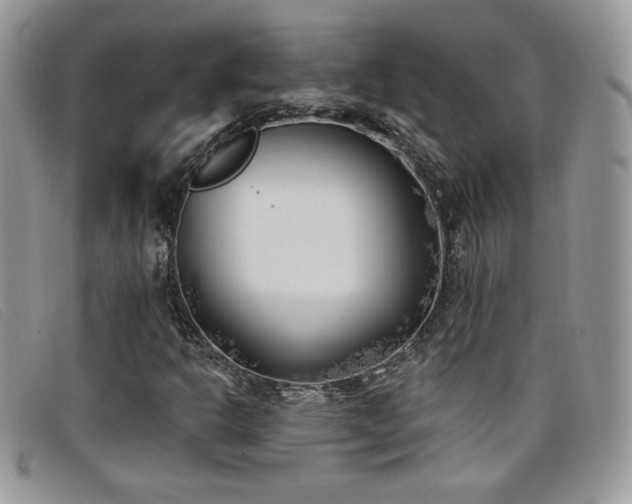 X0000099321302200805021305