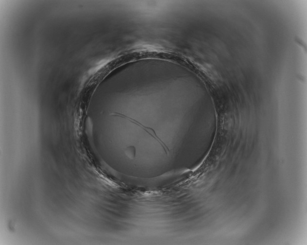 X0000099321303200805021305