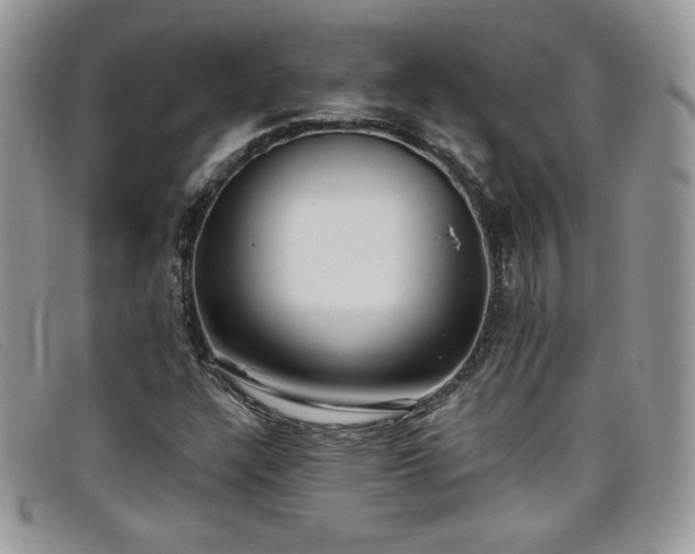 X0000099321304200805021305