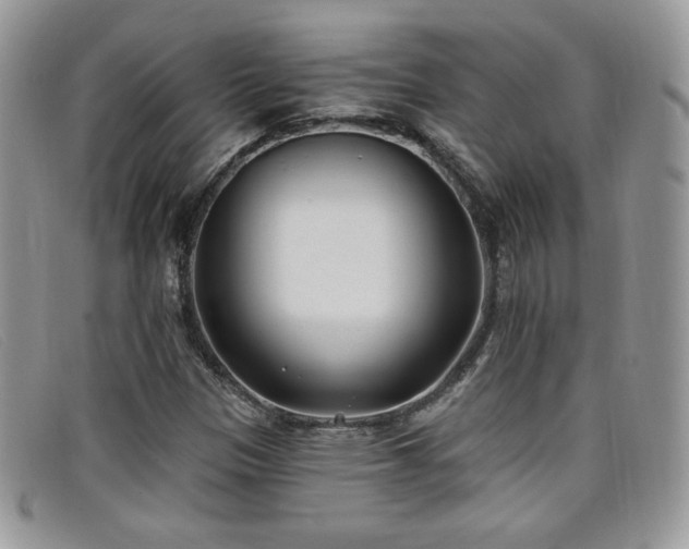 X0000099321305200805021305