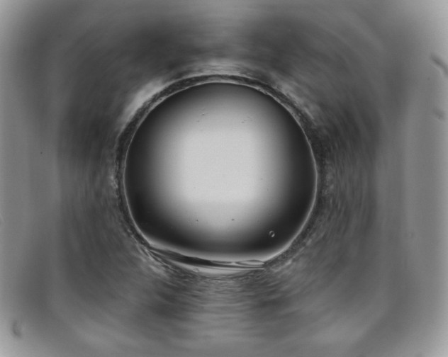 X0000099321312200805021305