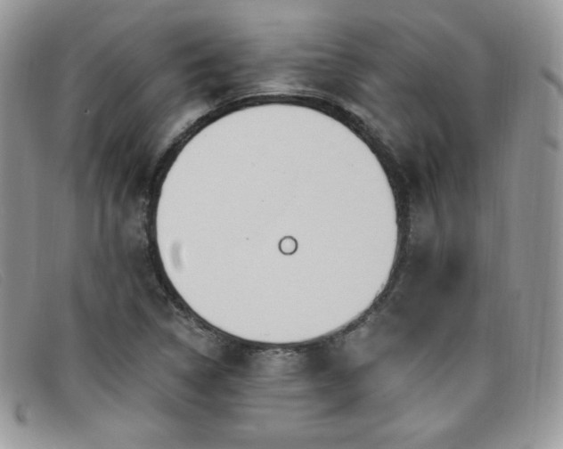 X0000099321314200805021305