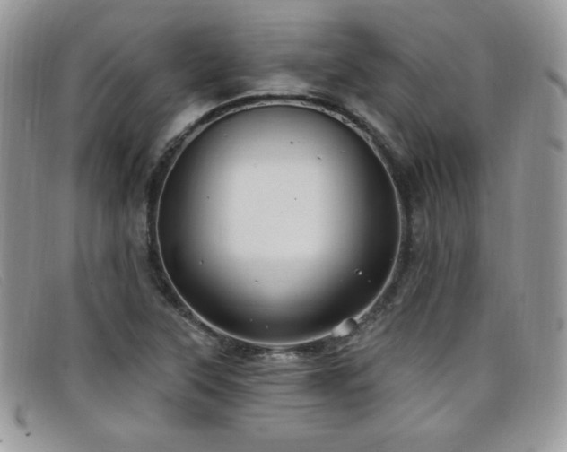 X0000099321315200805021305
