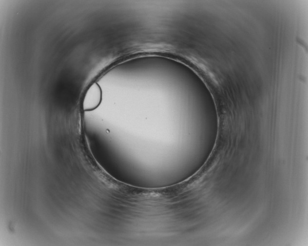 X0000099321317200805021305