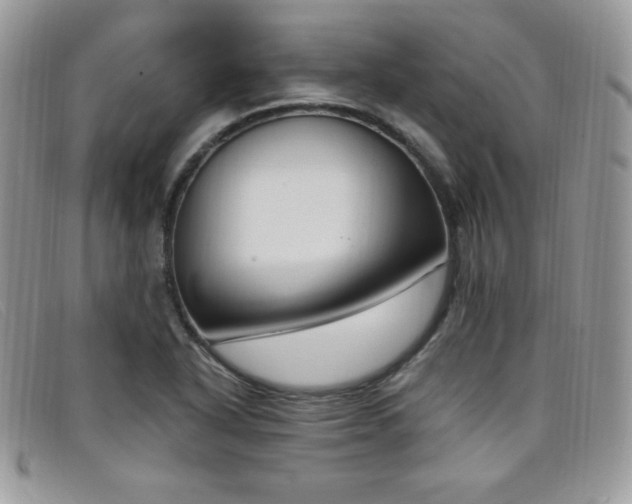 X0000099321318200805021305