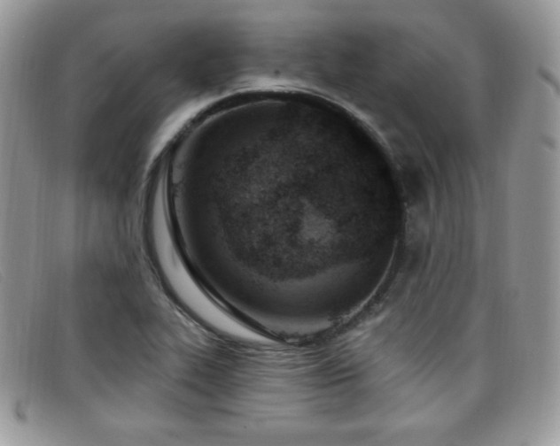 X0000099321319200805021305