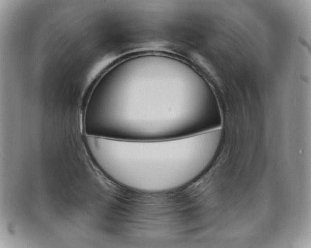 X0000099321320200805021305