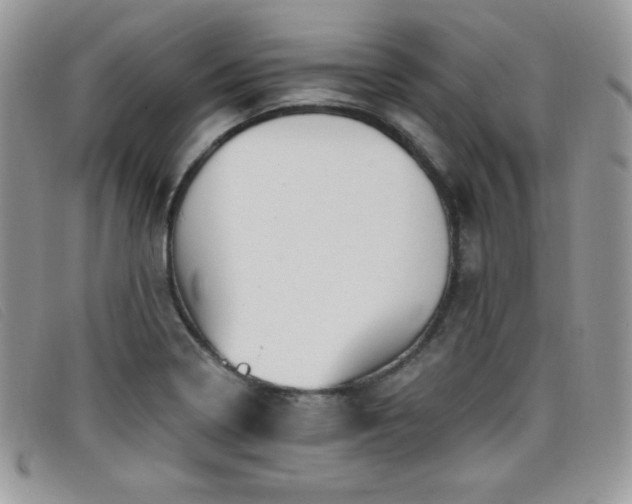 X0000099321322200805021305