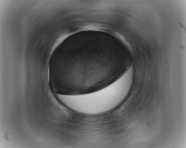 X0000099321323200805021305