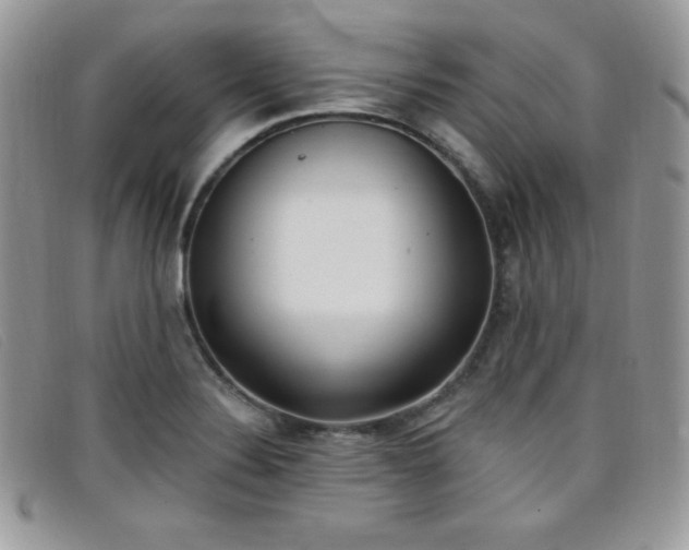 X0000099321324200805021305