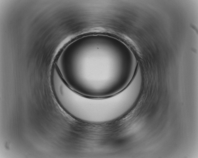 X0000099321326200805021305