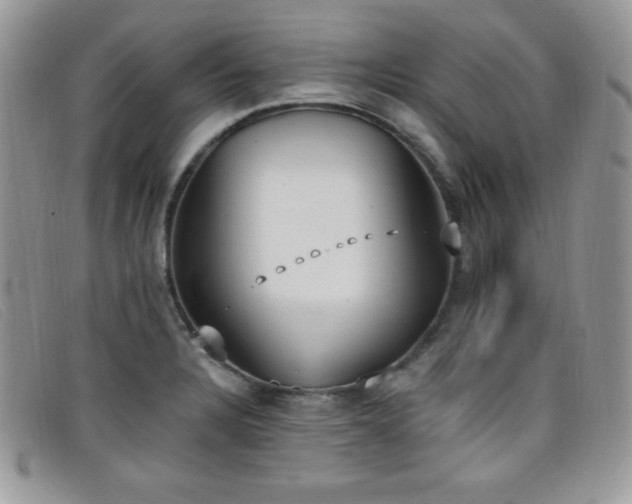 X0000099321328200805021305
