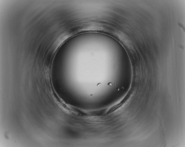 X0000099321329200805021305