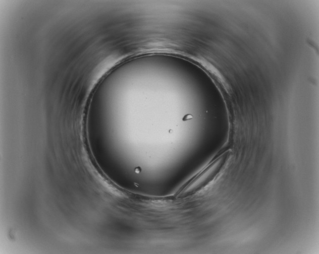 X0000099321333200805021305