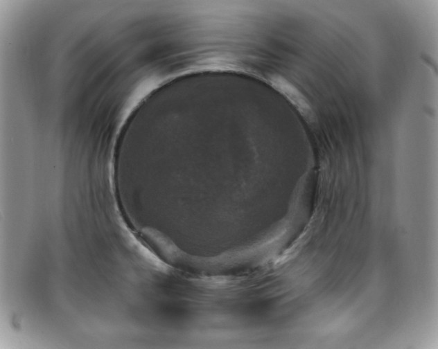 X0000099321334200805021305