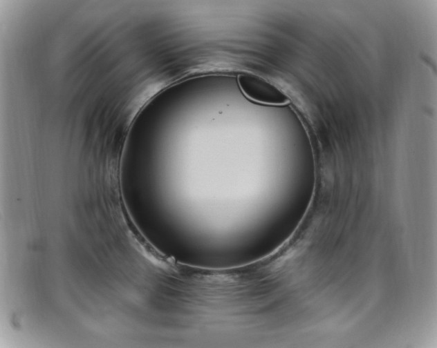 X0000099321337200805021305