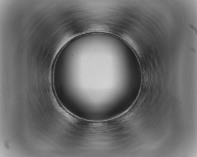 X0000099321339200805021305