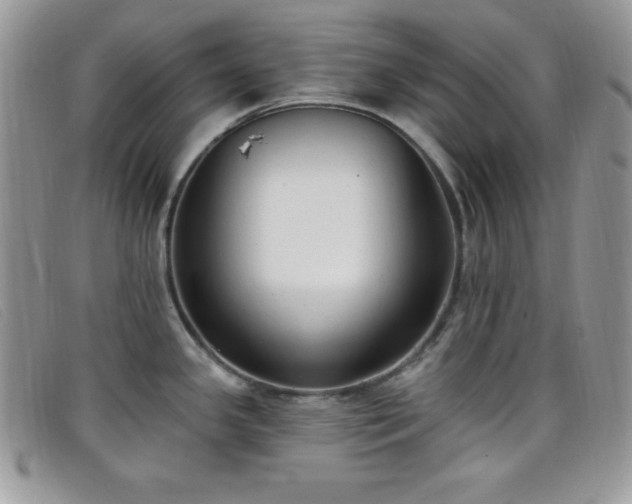 X0000099321341200805021305