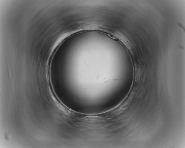 X0000099321342200805021305