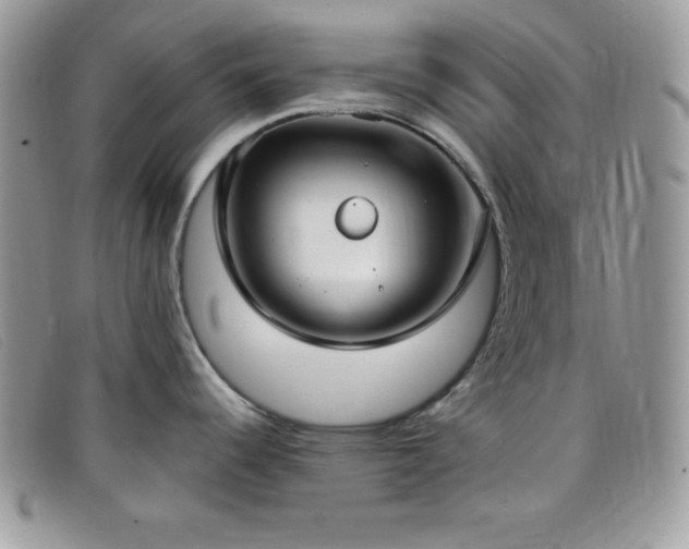 X0000099321344200805021305