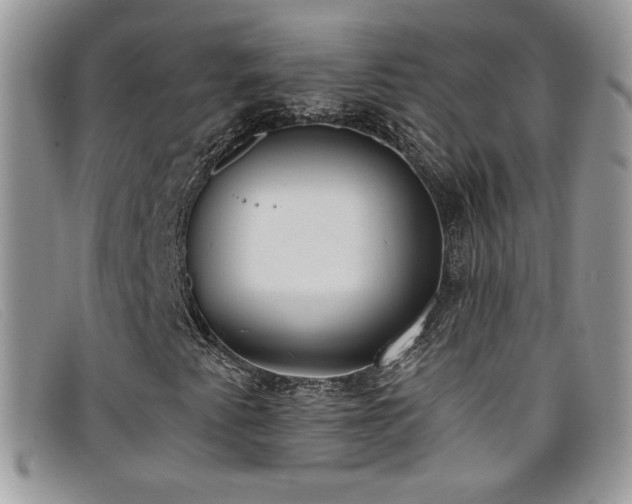 X0000099321345200805021305