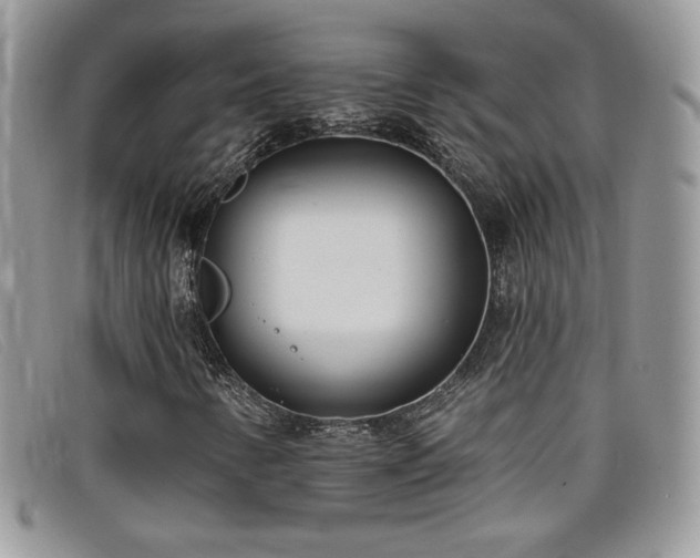 X0000099321346200805021305