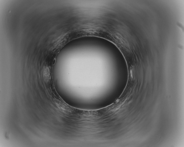 X0000099321347200805021305