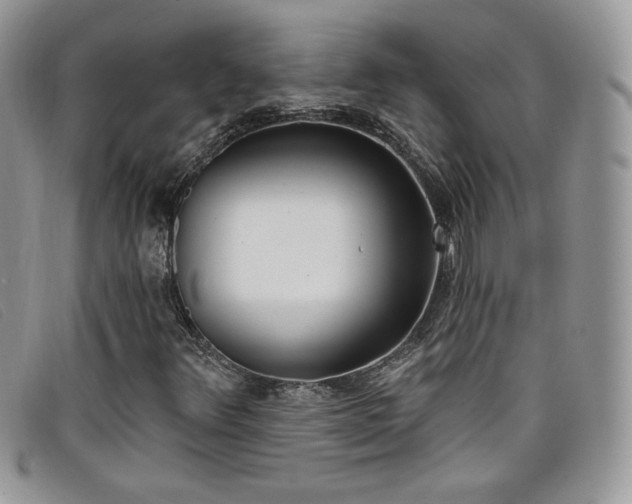 X0000099321348200805021305