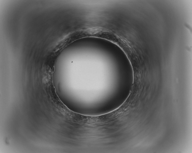 X0000099321349200805021305