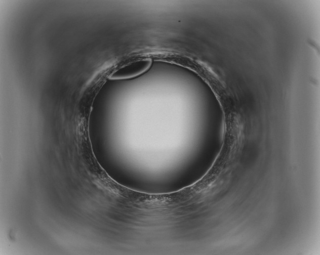 X0000099321351200805021304