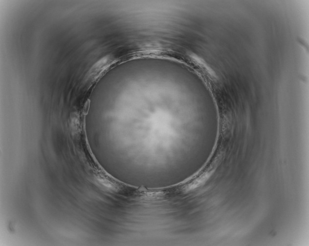 X0000099321353200805021304