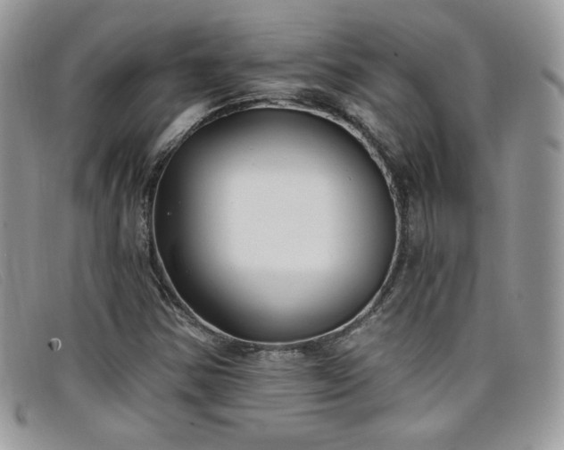 X0000099321354200805021304