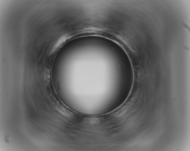X0000099321355200805021304