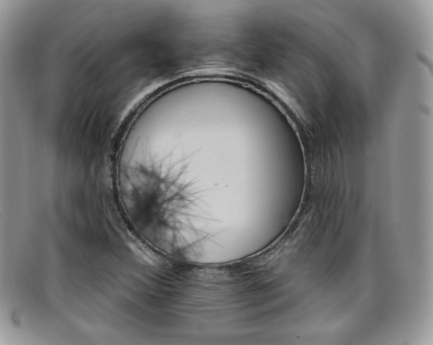 X0000099321356200805021304